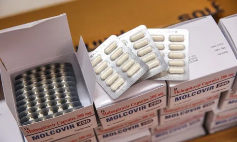 Bộ Y tế đã phân bổ 300.000 liều thuốc Molnupiravir điều trị COVID-19 cho các địa phương