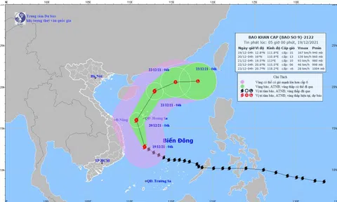 Tin bão số 9: Khu vực từ Thừa Thiên-Huế đến Khánh Hòa có mưa to