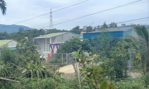 Vụ vợ bị chồng sát hại trong lúc ngủ: Nghi phạm bị bắt ở đâu?