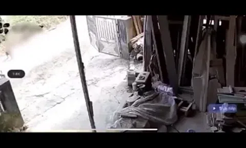 Hình ảnh camera vụ bé trai 2 tuổi ở Tuyên Quang bị chó dữ tấn công