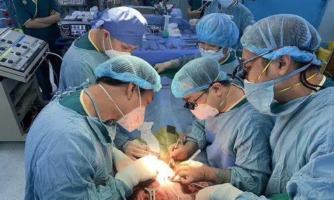 Bé 7 tuổi sơ gan giai đoạn cuối được cứu sống thành công nhờ một phần lá gan của bố