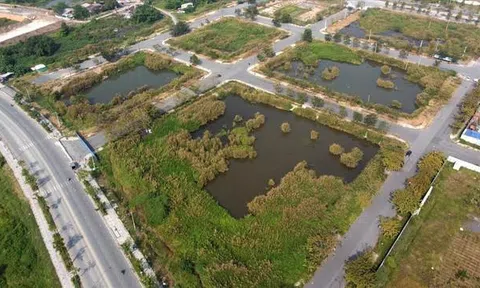 Thủ tướng chỉ đạo ngăn chặn hành vi lợi dụng đấu giá đất để trục lợi