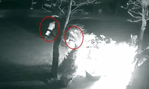 Vụ kẻ bịt mặt ném "bom xăng" đốt ô tô ở Hà Nội: Camera an ninh ghi lại gì?