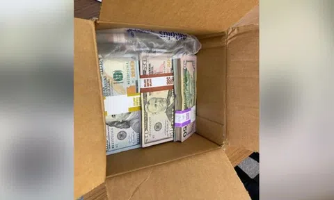 Thùng tiền bí ẩn chứa 180.000 USD được gửi tới trường đại học ở Mỹ
