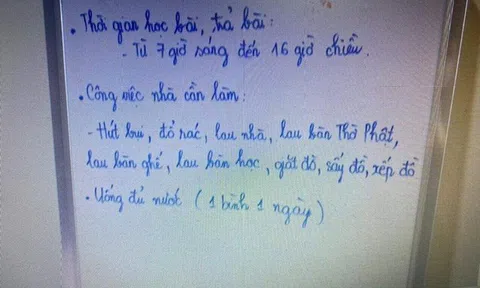 Vụ bé gái tử vong nghi bị "dì ghẻ" bạo hành: Tấm bảng ghi công việc bé phải làm gây xót xa