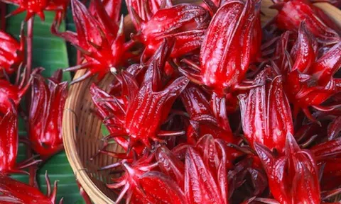 9 những loại rau củ cực tốt cho bà bầu