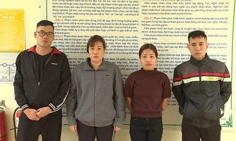 Tổ chức cho vay nặng lãi, núp bóng công ty mua bán nhà đất, hỗ trợ tài chính