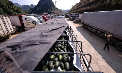 Hàng nghìn xe container ùn tắc, Lạng Sơn đề nghị tạm dừng đưa nông sản lên cửa khẩu