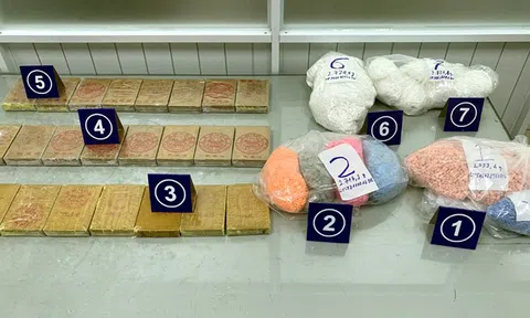 Hải quan TP. HCM thu giữ gần 25 kg ma túy và 18 kg cần sa qua đường chuyển phát nhanh