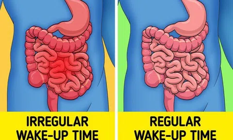 Điều gì xảy ra với cơ thể nếu bạn thức dậy đúng giờ mỗi ngày?