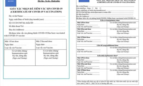 Lý giải nguyên nhân mẫu giấy xác nhận tiêm vaccine ngừa COVID-19 có tới 7 mũi