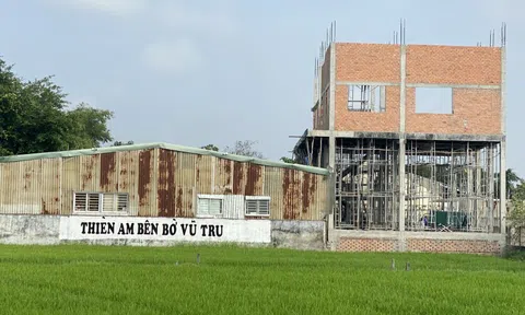 Rà soát, thanh tra việc nhận nuôi trẻ sau vụ việc tại Tịnh thất Bồng Lai