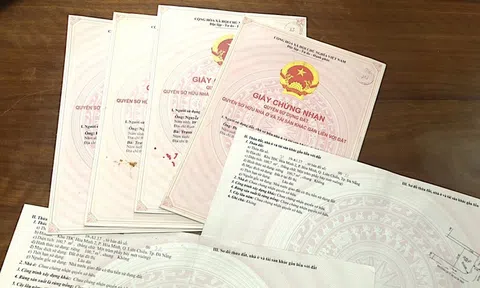 Bắt 6 người trong đường dây đánh tráo sổ hồng: Hé lộ chiêu qua mặt công chứng viên