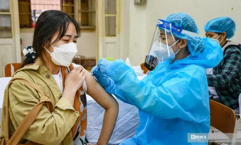 Bộ Y tế yêu cầu tăng cường phòng chống dịch trong dịp Tết Nguyên đán