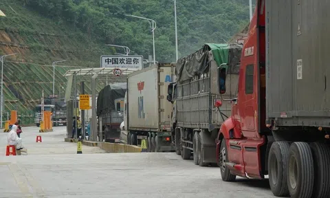 Khởi tố 2 cán bộ nhận hàng trăm triệu đồng để 'làm luật' tại cửa khẩu Lạng Sơn