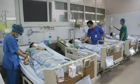 Nấu canh với loại củ giống củ từ, 4 người trong gia đình ở Quảng Ninh nhập viện cấp cứu