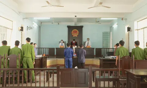 Cựu giảng viên đại học lãnh án vì vu khống Bí thư Tỉnh ủy “đạo văn”