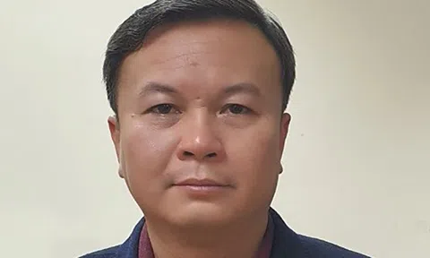 Bắt Chủ tịch Công ty Công viên cây xanh Hà Nội