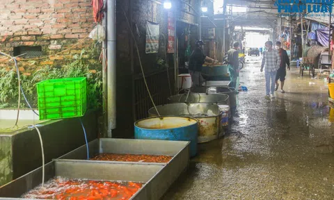 Chợ cá lớn nhất miền Bắc vắng vẻ trước ngày cúng ông Công ông Táo