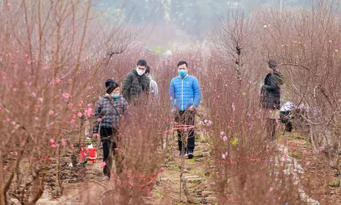 Miền Bắc chuẩn bị đón liên tiếp 2 đợt không khí lạnh mạnh trước Tết Nguyên đán