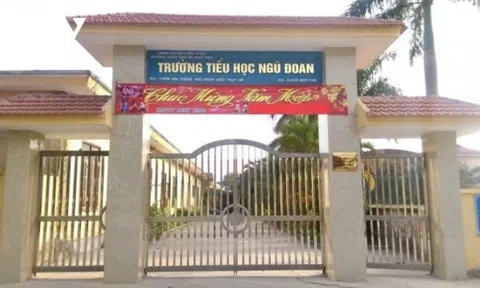 Vụ 3 học sinh tiểu học bị đánh tím người ở Hải Phòng: Sở GD&ĐT nhận trách nhiệm