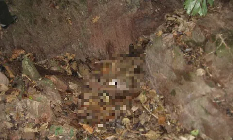 Tội ác trong cánh rừng Cóc Cái (kỳ 1): Thi thể cô gái trẻ bên hõm suối