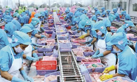 Doanh nghiệp ngành thủy sản gặp khó bởi quy định kiểm dịch