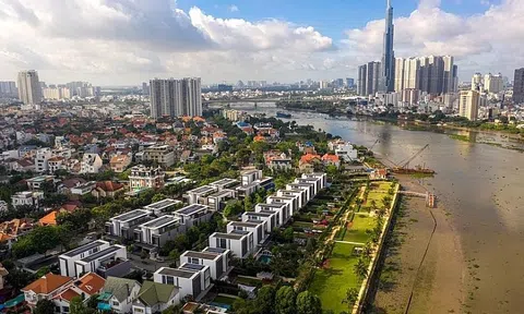 Chú trọng thanh tra mua sắm phục vụ phòng chống dịch, bất động sản trong năm 2022