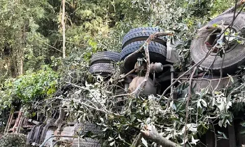 Thủ tướng yêu cầu điều tra vụ tai nạn khiến 6 người tử vong ở Gia Lai