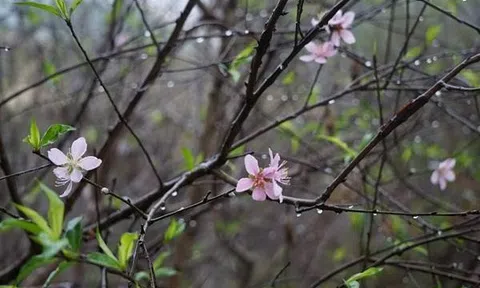 Dự báo xu thế thời tiết cả nước trong 10 ngày tới