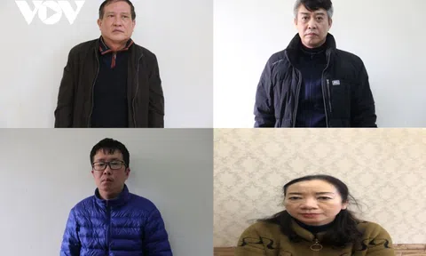 Vì sao dàn lãnh đạo Công ty phát triển nhà và xây dựng Tây Hồ bị bắt tạm giam?