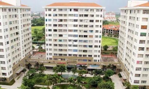 Bộ Xây dựng chỉ đạo làm rõ sai phạm liên quan nhà ở xã hội