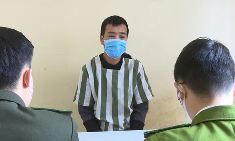 Hơn 1.600 người sập bẫy web đầu tư tài chính nuôi cá koi, săn kim cương