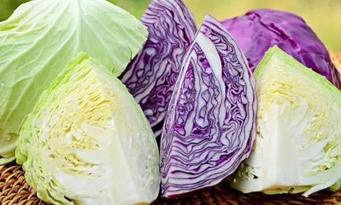 5 nhóm người cần đặc biệt chú ý khi ăn rau bắp cải