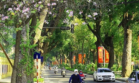 Tin tức dự báo thời tiết hôm nay 4/3: Hà Nội rét về đêm và sáng, ngày nắng ấm