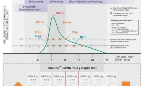 Cách tiết kiệm test nhanh Covid-19 khi tự xét nghiệm tại nhà