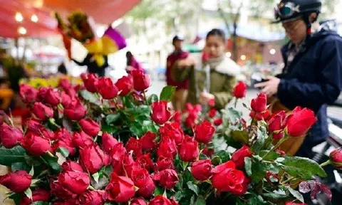 Tin tức dự báo thời tiết hôm nay 8/3: Hà Nội ngày nắng, rét về đêm và sáng