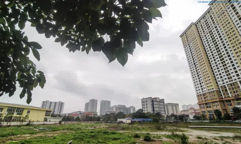 Dự án trăm tỷ của Công ty Đông Đô bỏ hoang chục năm do thành phố Hà Nội chậm giải quyết chính sách?