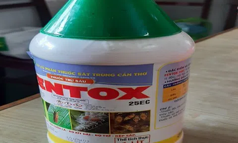 Cần Thơ: Pha thuốc trừ sâu vào nước ngọt cho con 6 tuổi uống