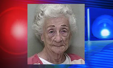 Cụ bà 83 tuổi huấn luyện 65 chú mèo thành "siêu trộm", có món trang sức trị giá gây sốc