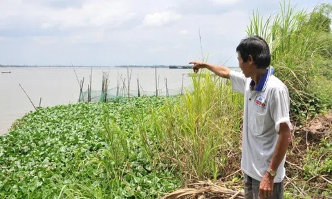 Vụ trúng đấu giá mỏ cát "khủng" 2.800 tỷ đồng: Diễn biến bất ngờ