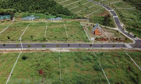 “Siết” phân lô, tách thửa: Hạ nhiệt "cơn sốt" và góc nhìn pháp lý của chuyên gia