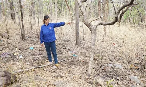 Vợ cùng nhân tình giết chồng, bị bắt sau 12 ngày gây án rúng động