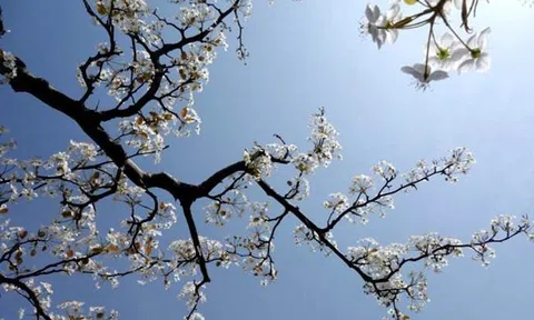 Tết Thanh minh 2022 rơi vào ngày nào? Nguồn gốc, ý nghĩa Tết Thanh minh