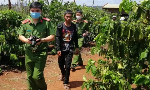 Vụ người phụ nữ đi tưới cà phê bị hiếp dâm, giấu xác xuống giếng: Nghi phạm 21 tuổi khai gì?