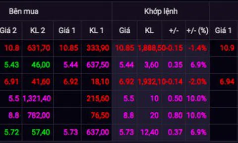 Cổ phiếu giao dịch đột biến: FLC đề nghị điều tra bất thường