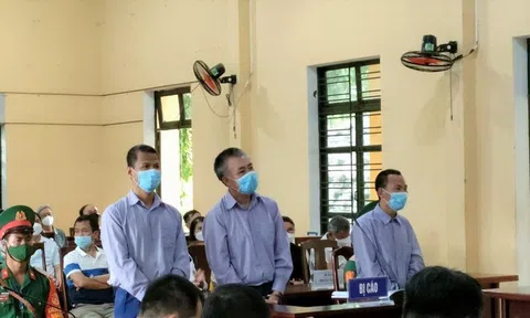 Lừa bán 238 căn hộ trên đất quốc phòng chiếm đoạt hàng trăm tỷ đồng, giám đốc lĩnh án hơn 20 năm tù
