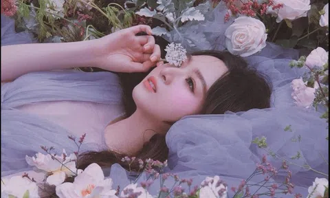 Ái nữ triệu đô nhà ông Đỗ Anh Dũng đang đảm nhiệm hàng loạt chức danh tại Tân Hoàng Minh