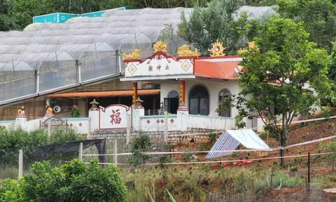 Khởi tố đối tượng sát hại vợ, chôn thi thể phi tang ở Đà Lạt