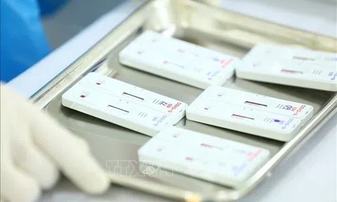 Bộ Công an ủy thác Công an Đồng Tháp điều tra các gói thầu liên quan Công ty Việt Á